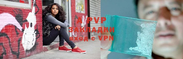 стафф Белокуриха
