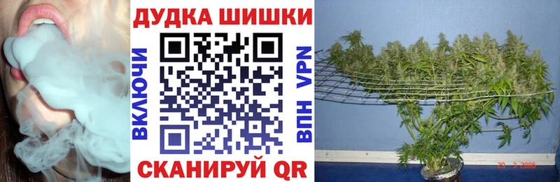 площадка наркотические препараты  Болхов  Канабис сатива  как найти закладки 